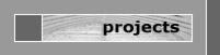 Projekte des Institutes